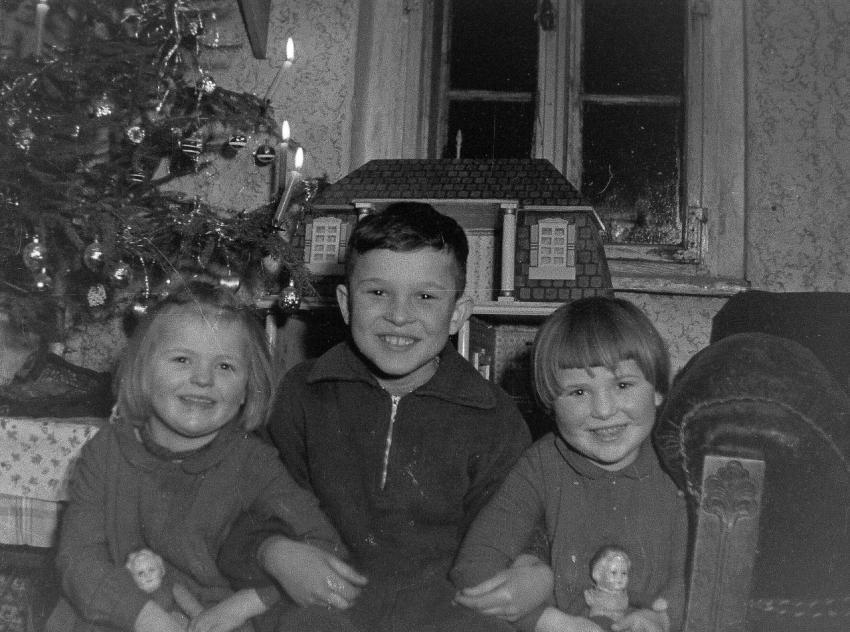 Fotoarchiv Pilz 0145