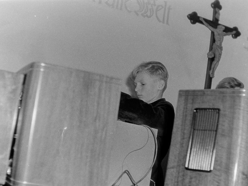 Fotoarchiv Pilz 0099