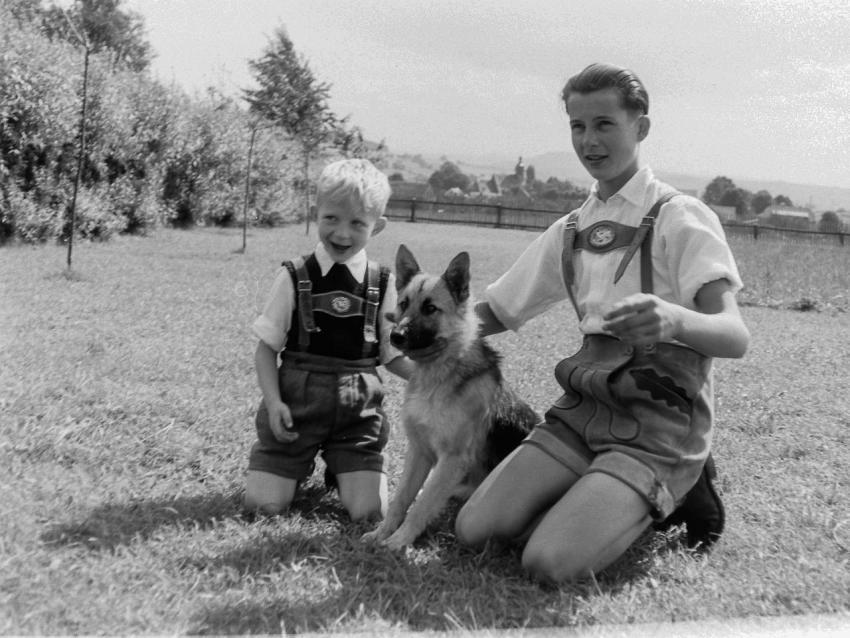 Fotoarchiv Pilz 0019