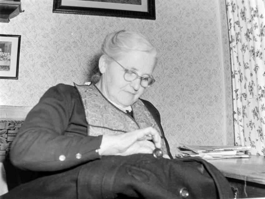 Fotoarchiv Pilz 0131