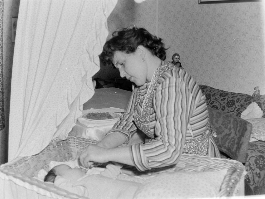 Fotoarchiv Pilz 0132