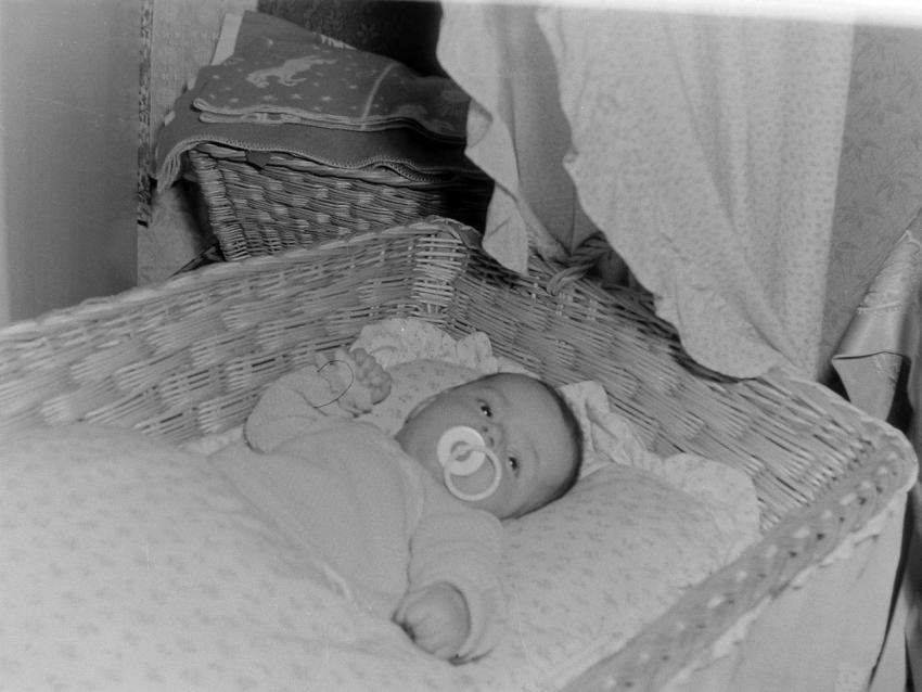 Fotoarchiv Pilz 0137