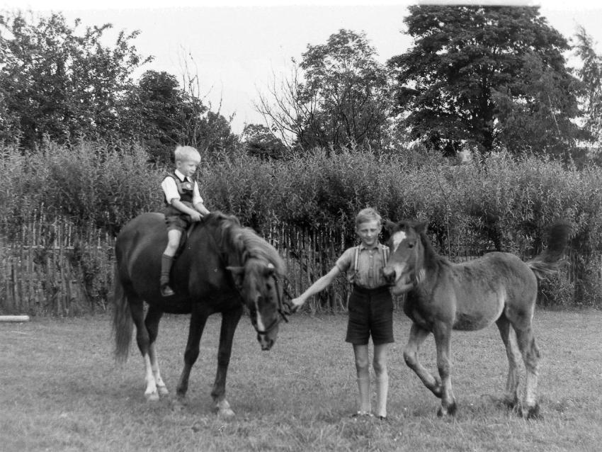 Fotoarchiv Pilz 0023