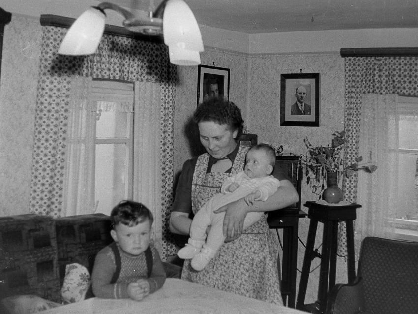 Fotoarchiv Pilz 0003