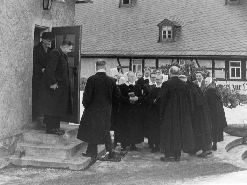 Fotoarchiv Pilz 0112