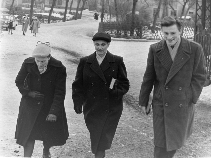 Fotoarchiv Pilz 0109