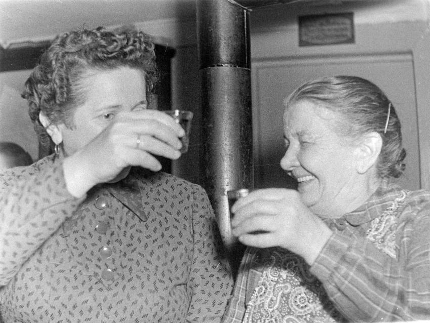 Fotoarchiv Pilz 0059