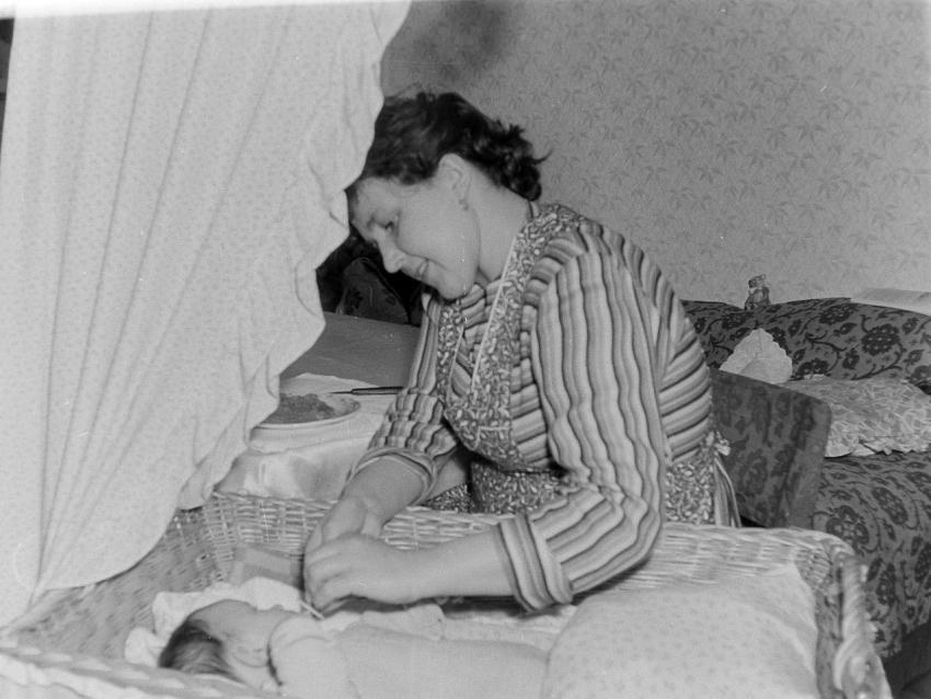 Fotoarchiv Pilz 0133