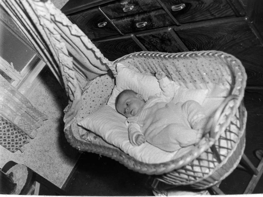 Fotoarchiv Pilz 0004