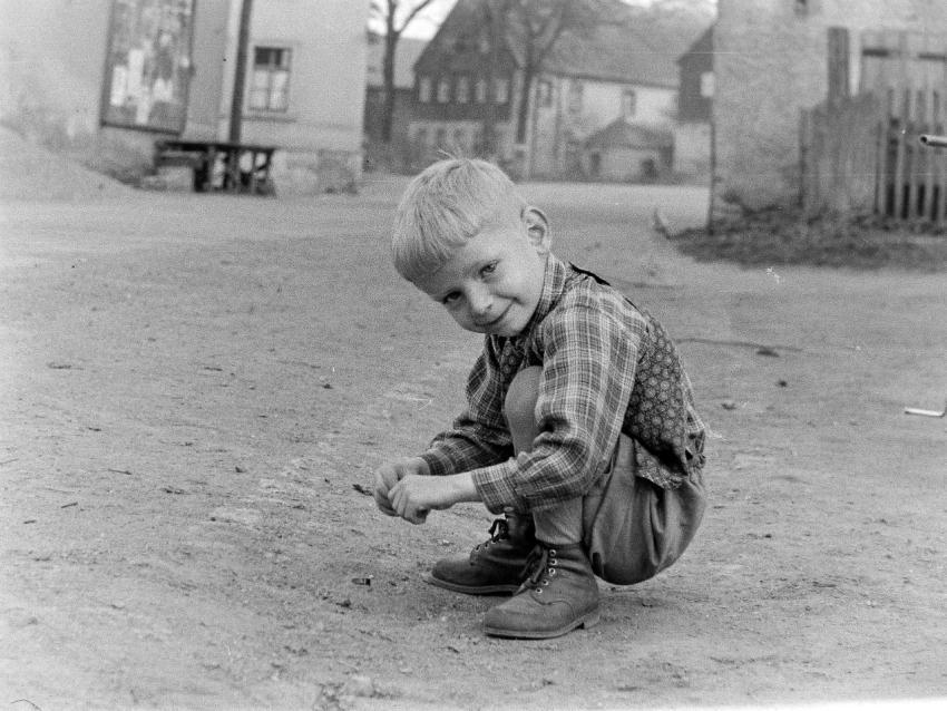 Fotoarchiv Pilz 0065