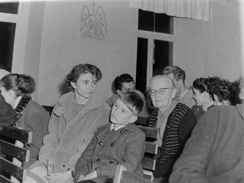 Fotoarchiv Pilz 0098