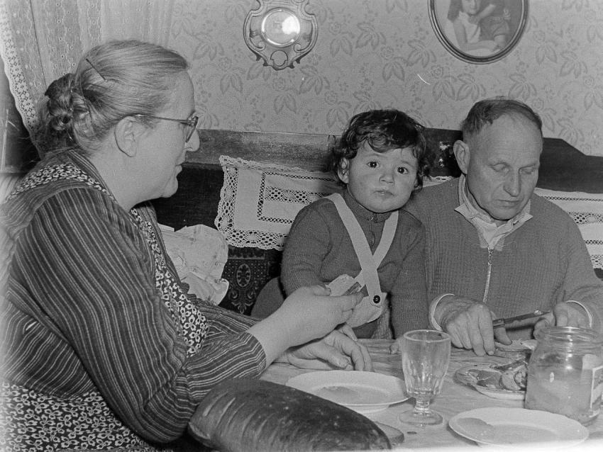 Fotoarchiv Pilz 0058