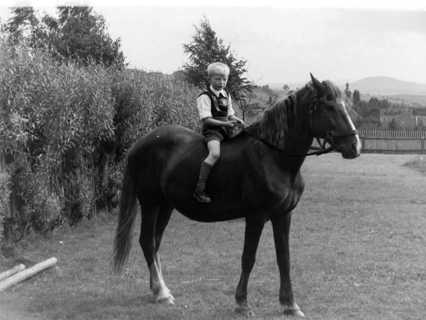 Fotoarchiv Pilz 0022