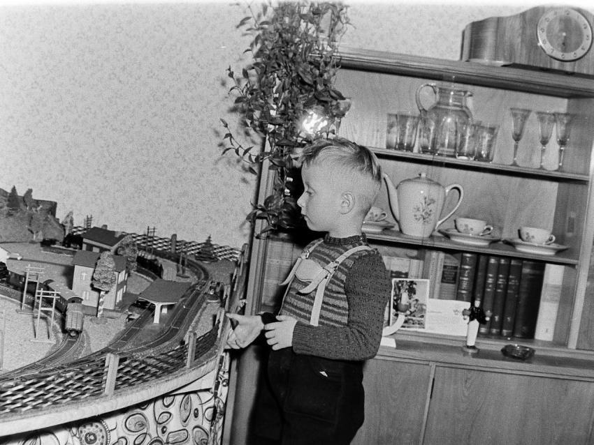 Fotoarchiv Pilz 0117