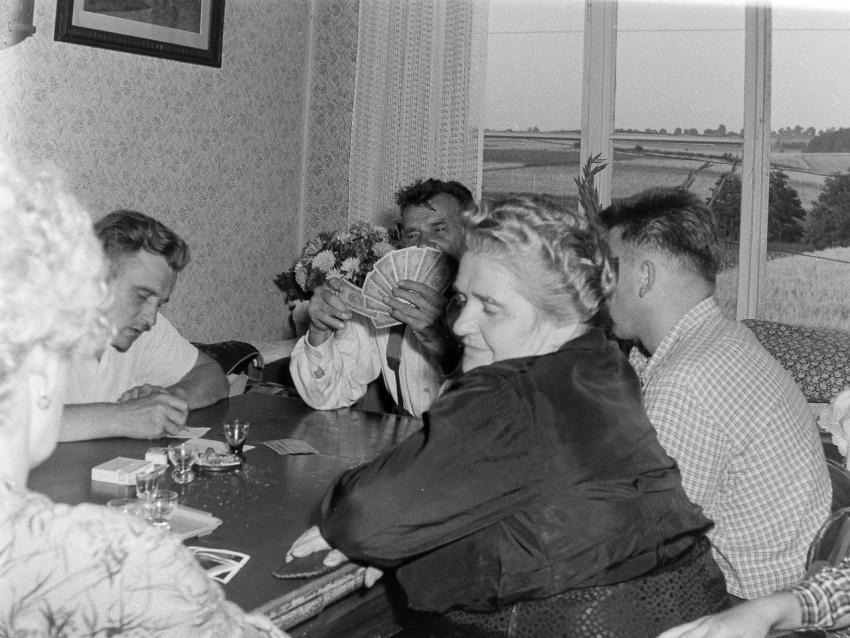 Fotoarchiv Pilz 0009