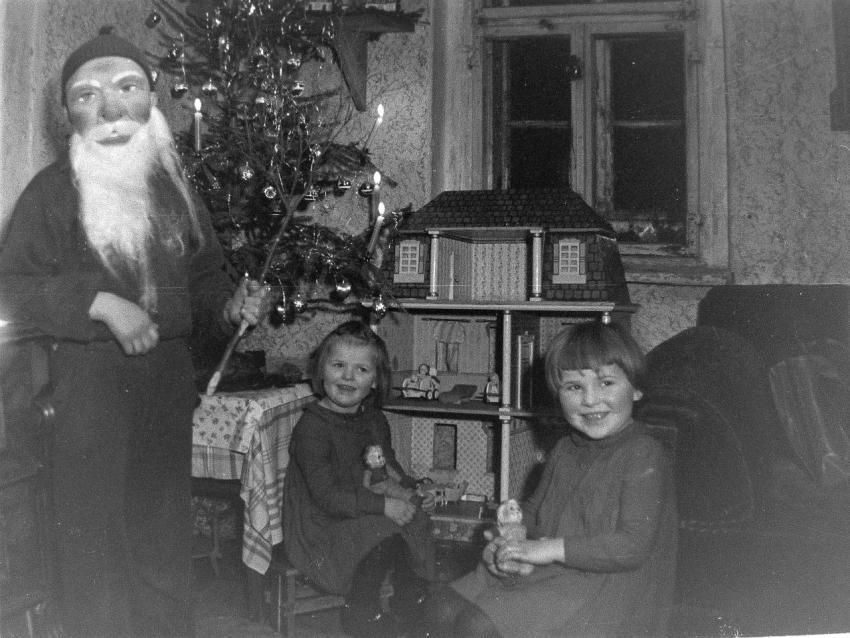 Fotoarchiv Pilz 0141