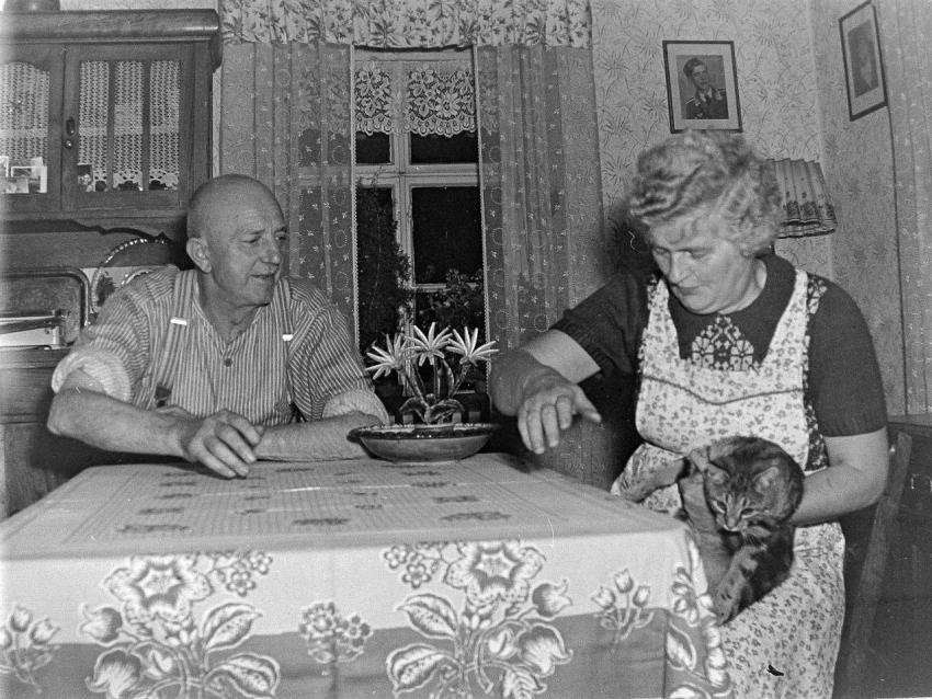 Fotoarchiv Pilz 0142