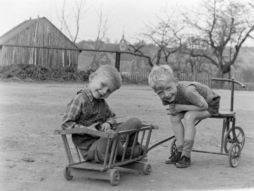 Fotoarchiv Pilz 0064