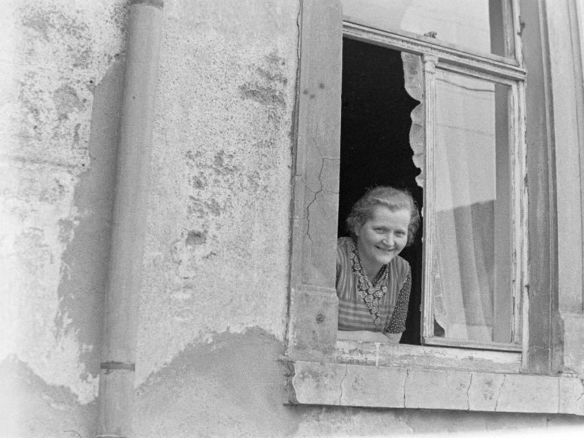 Fotoarchiv Pilz 0067