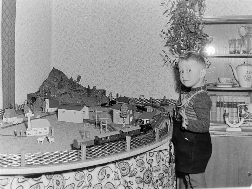 Fotoarchiv Pilz 0118