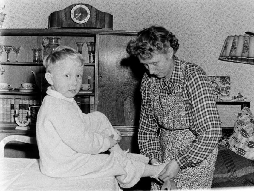 Fotoarchiv Pilz 0115