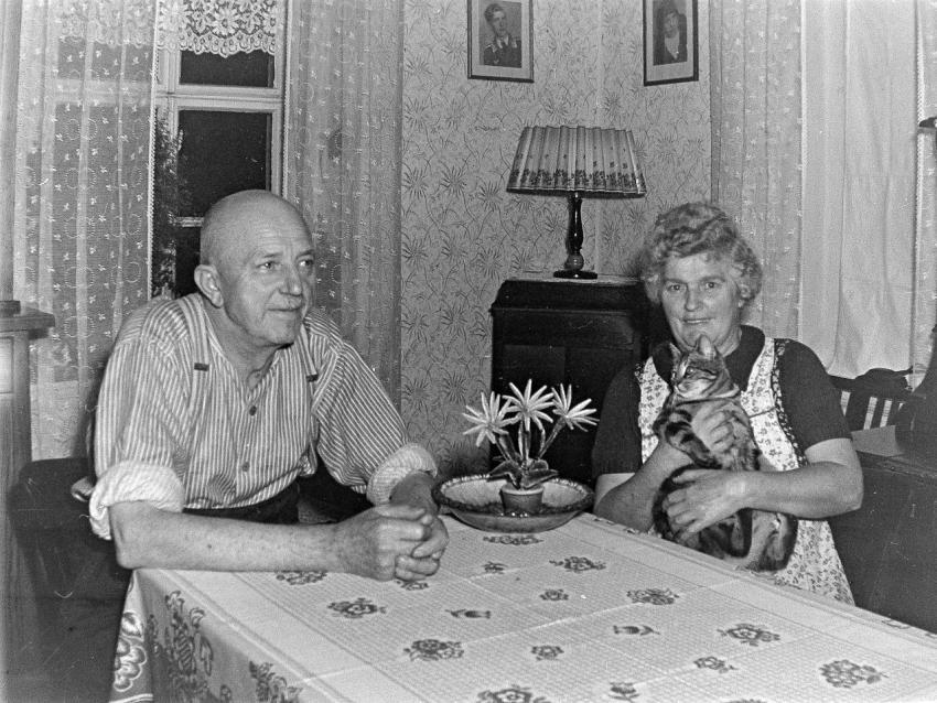 Fotoarchiv Pilz 0140