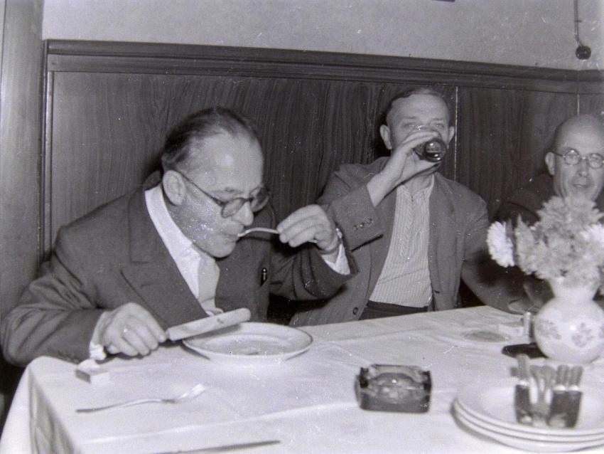 Fotoarchiv Pilz 0043