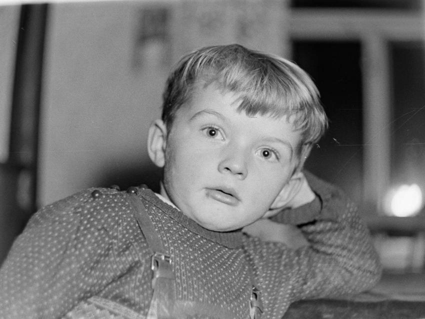 Fotoarchiv Pilz 0152