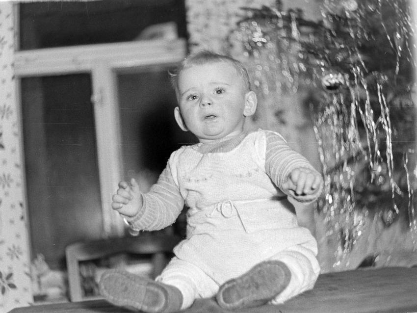 Fotoarchiv Pilz 0150