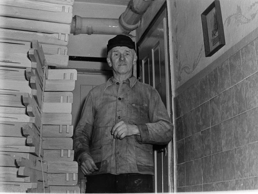 Fotoarchiv Pilz 0153