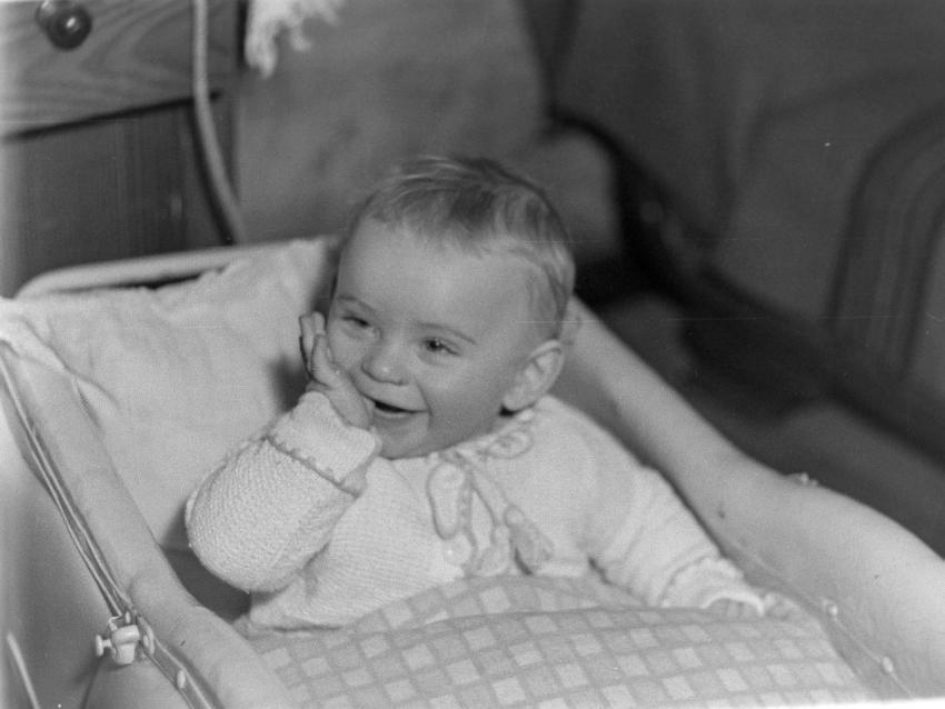 Fotoarchiv Pilz 0154