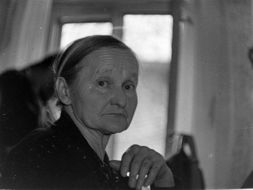 Fotoarchiv Pilz 0167