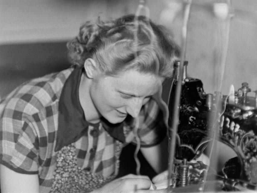 Fotoarchiv Pilz 0180