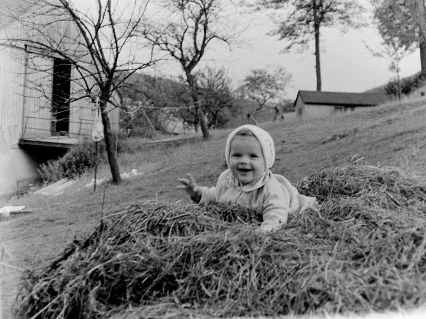 Fotoarchiv Pilz 0191