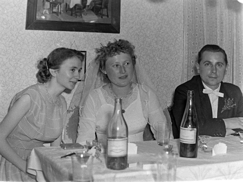 Fotoarchiv Pilz 0161