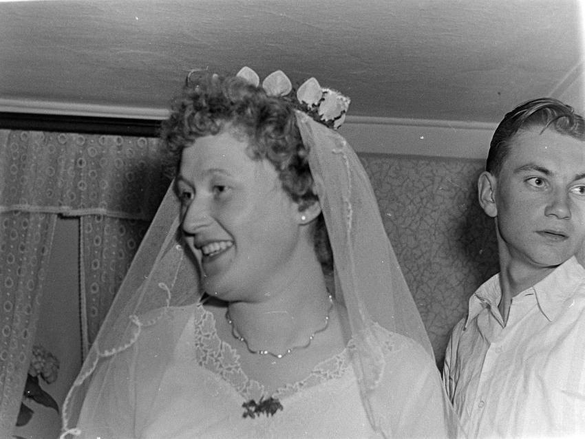 Fotoarchiv Pilz 0166