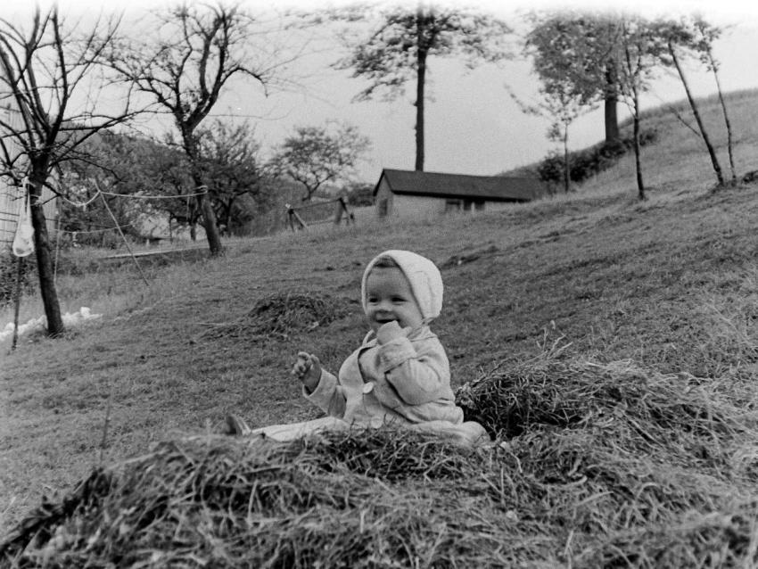 Fotoarchiv Pilz 0190