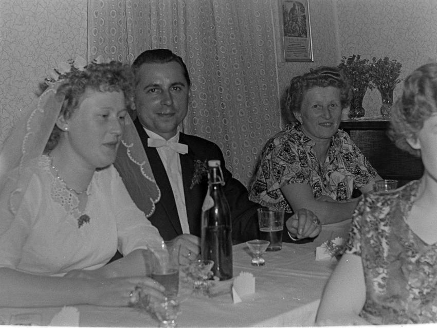 Fotoarchiv Pilz 0169