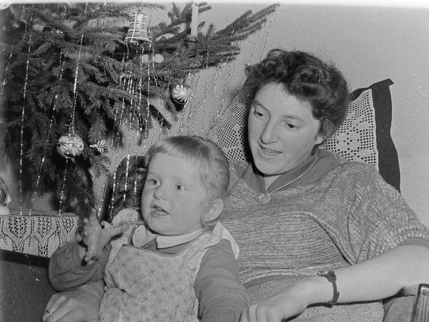 Fotoarchiv Pilz 0159