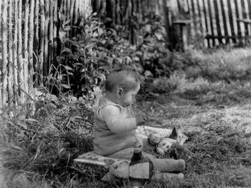 Fotoarchiv Pilz 0079