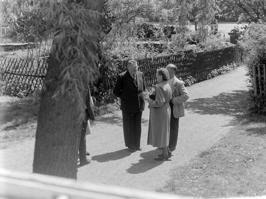 Fotoarchiv Pilz 0188