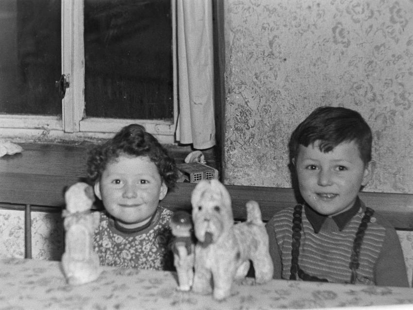 Fotoarchiv Pilz 0095