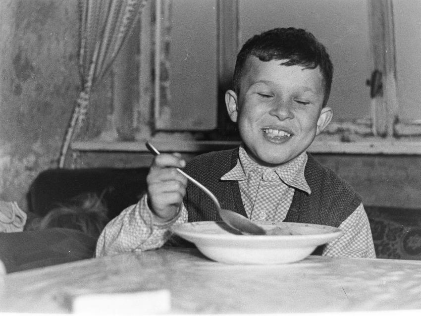 Fotoarchiv Pilz 0091