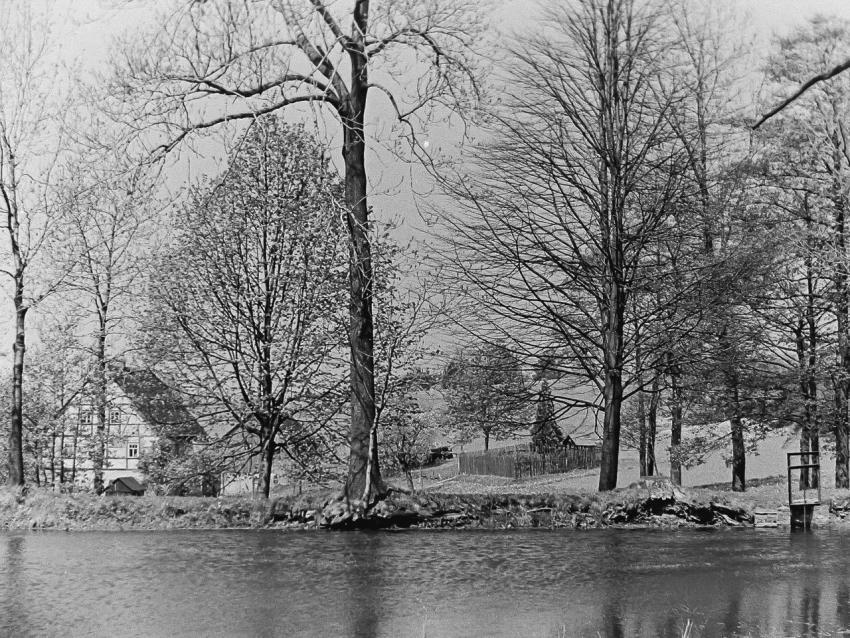 Muehle Muehlteich 001