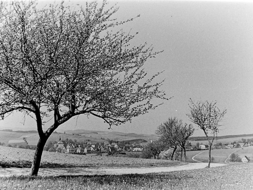 Heinzebankstrasse 001