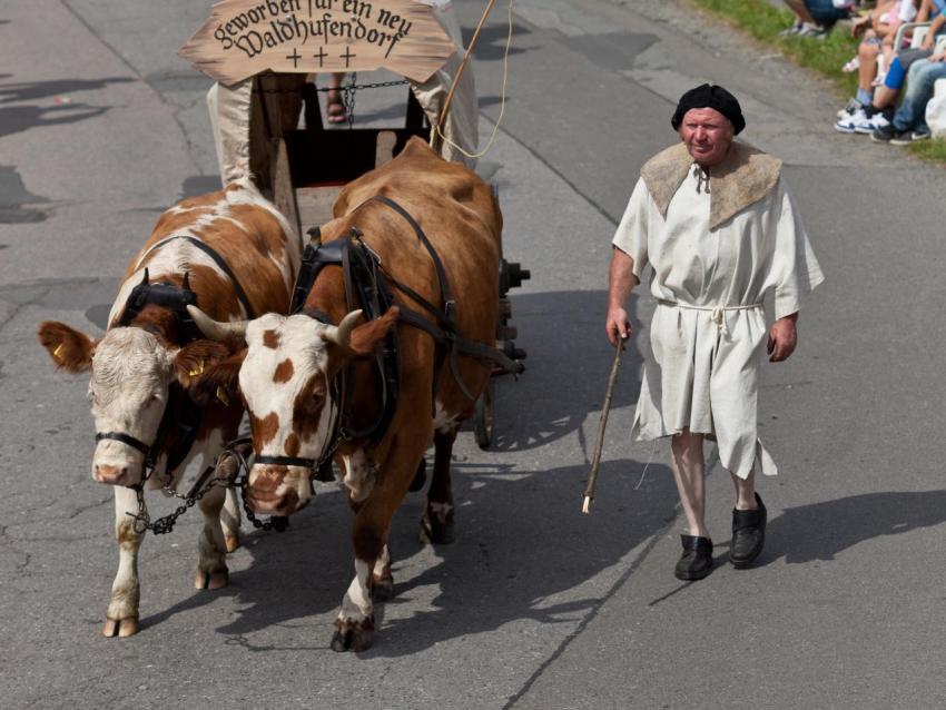 Festumzug 038 2011 Generationstreffen Heimatfest