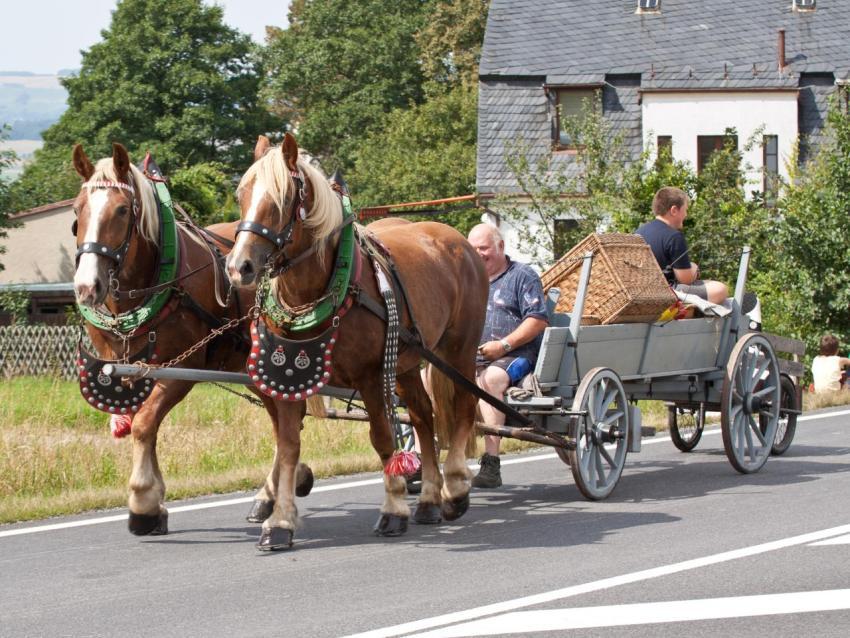 Aufstellung Festumzug 002 2011 Generationstreffen Heimatfest