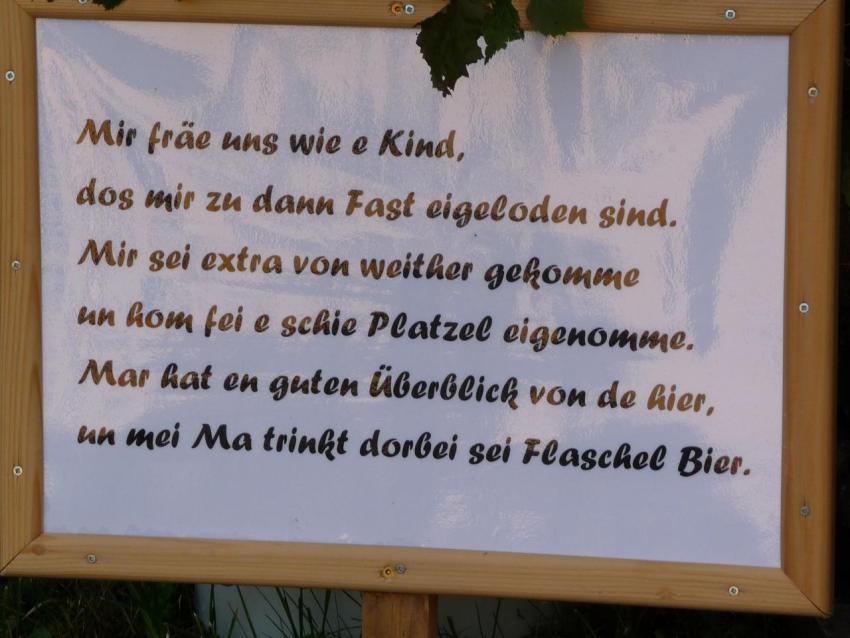 026a Heimatfest 2011 112 Heimatfest 2011 188