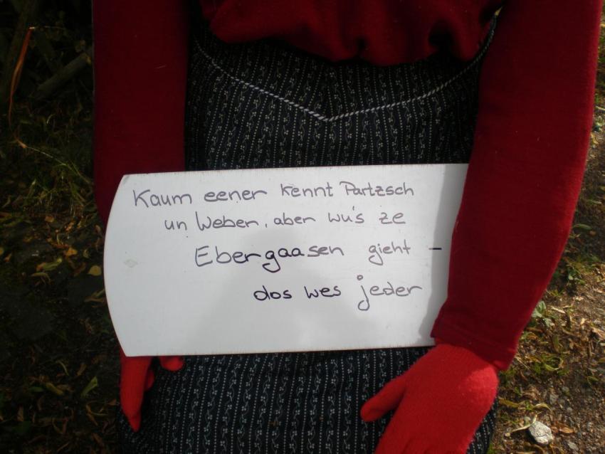 099a Heimatfest 2011 329