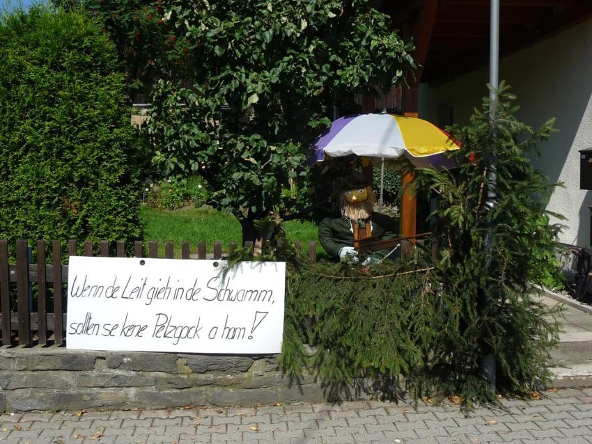 145 (von Wolf Michael) H  Str  7 Heimatfest 2011 438